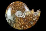 Polished, Agatized Ammonite (Cleoniceras) - Madagascar #97314-1